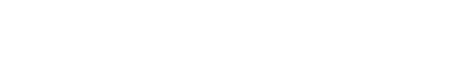 Logo - Flow Diagnósticos 